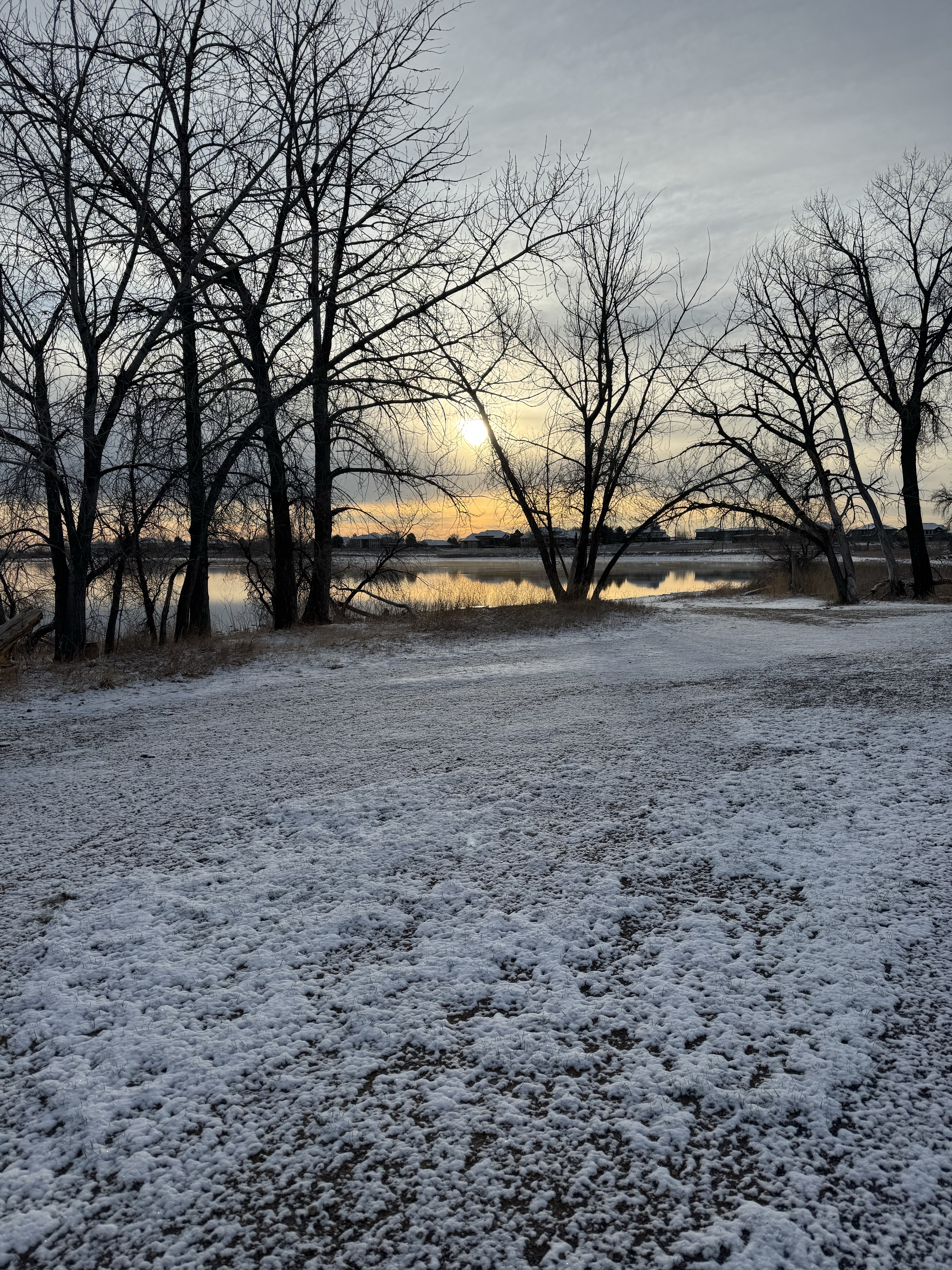 Lessons From my Dog – Tiffany Painter